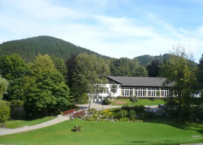 F Am Kurpark Mit Meinecardplus 公寓 维林根